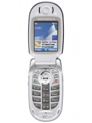 Motorola V557