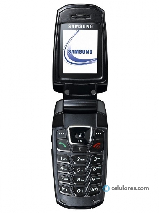 Samsung X300