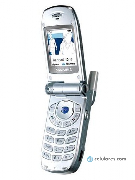 Samsung Z100
