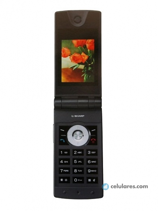 Sharp GX29