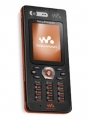 Sony Ericsson W888