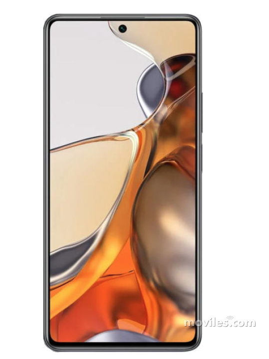 xiaomi-11t-pro-92846-g.jpg